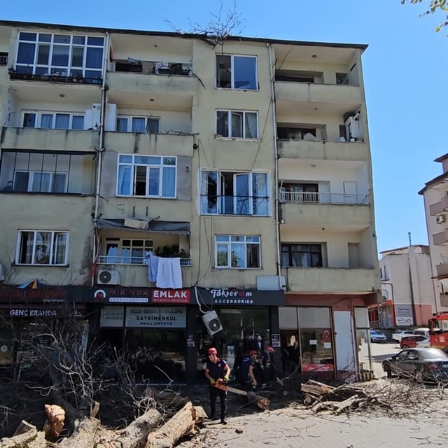 Sakarya'da devrilen çınar ağacı apartmanda hasar oluşturdu