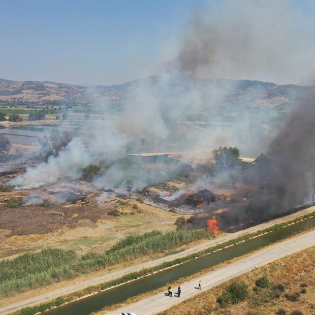 Aydın'da otluk alanda çıkan yangın söndürüldü