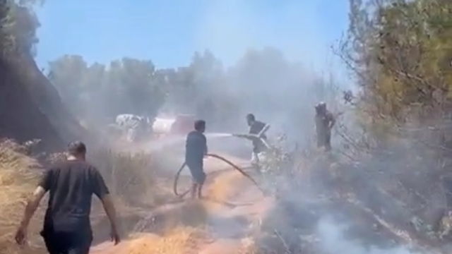 Bursa'da zeytinlik yangını ormana sıçramadan söndürüldü