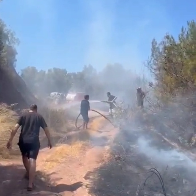 Bursa'da zeytinlik yangını ormana sıçramadan söndürüldü