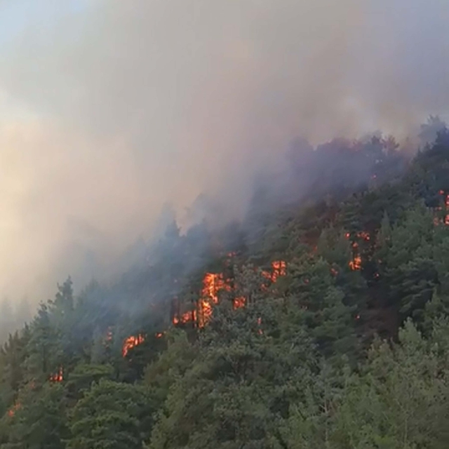 Denizli'de orman yangını