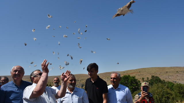 Gümüşhane'de 400 keklik doğaya bırakıldı