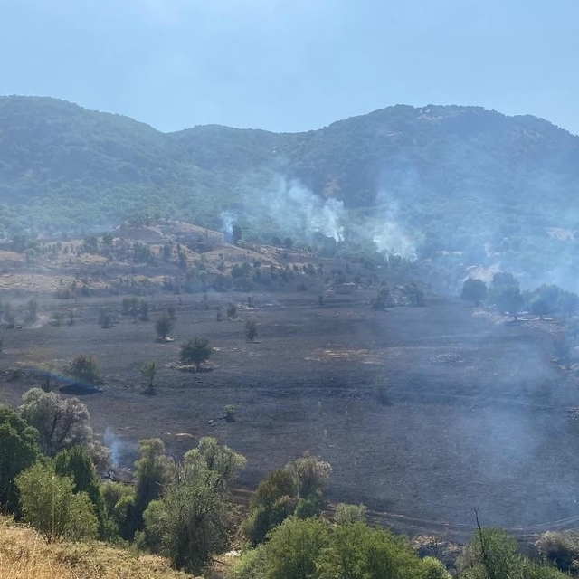 GÜNCELLEME - Tunceli'de çıkan örtü yangını söndürüldü