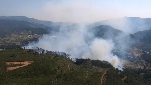 GÜNCELLEME - Denizli'de çıkan orman yangını kontrol altına alındı