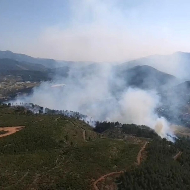 GÜNCELLEME - Denizli'de çıkan orman yangını kontrol altına alındı