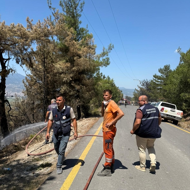 Geyve'de tekrar canlanan alevler kontrol altına alındı