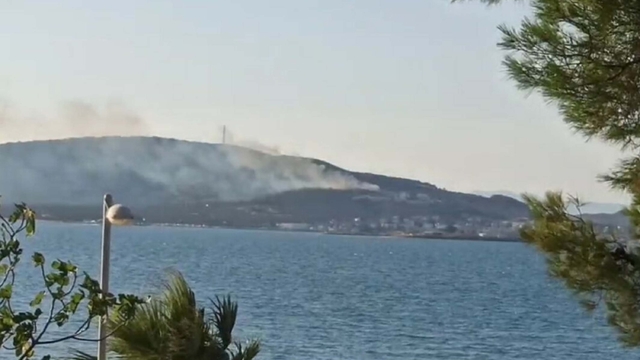 Cunda Adası'nda orman yangını