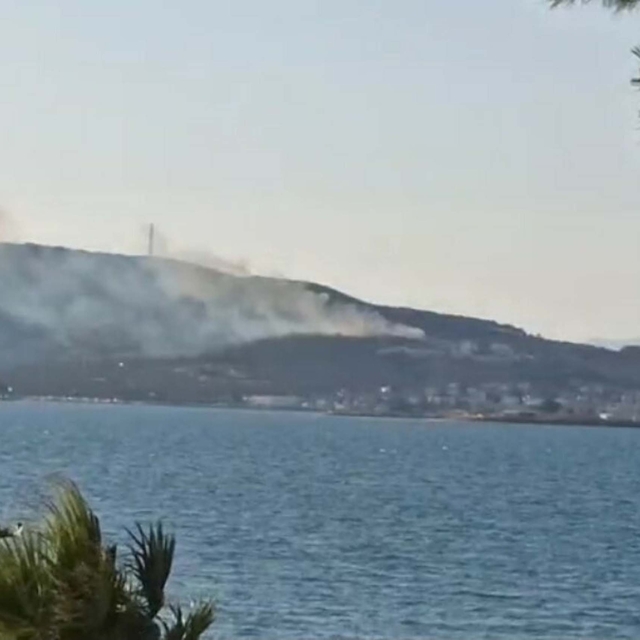 Cunda Adası'nda orman yangını