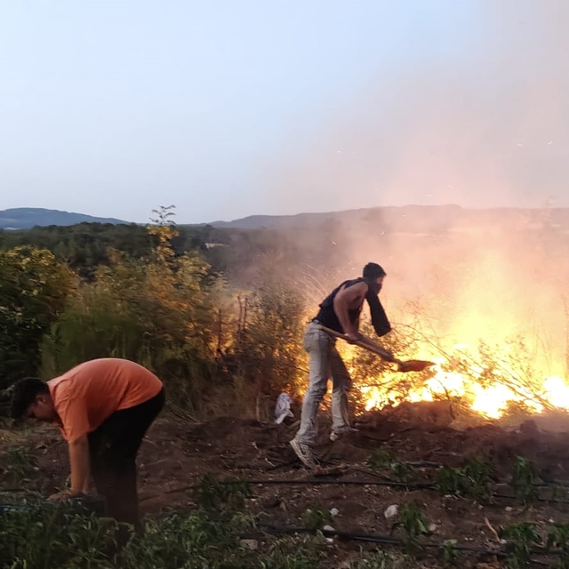 Balıkesir'de tavuk çiftliğinde başlayan yangın ormanlık alana sıçradı