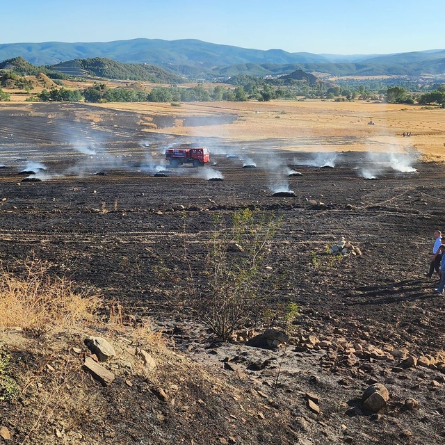 Sinop'ta çıkan anız yangınında 60 balya saman yandı