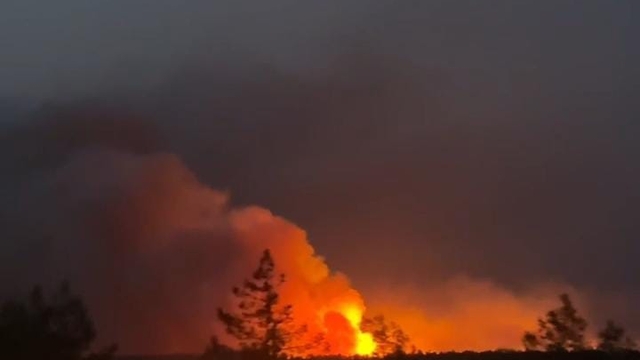 Silifke'de orman yangını