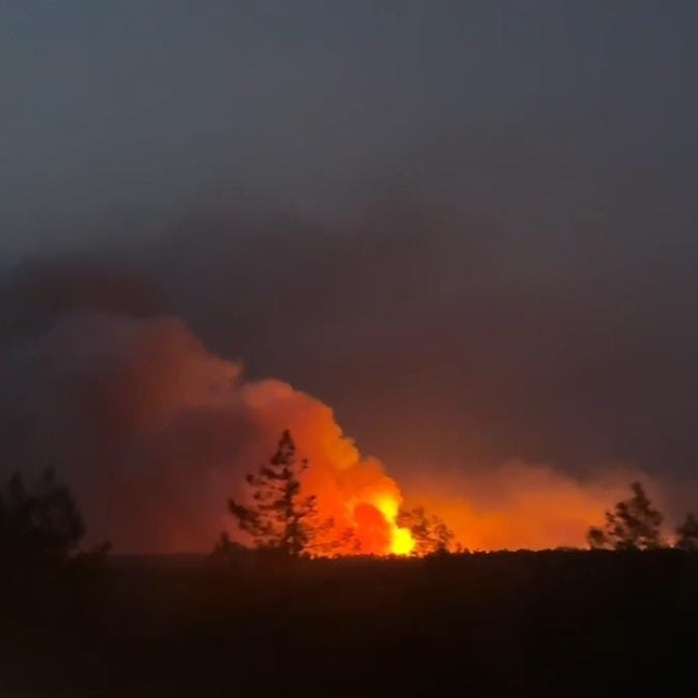 Silifke'de orman yangını
