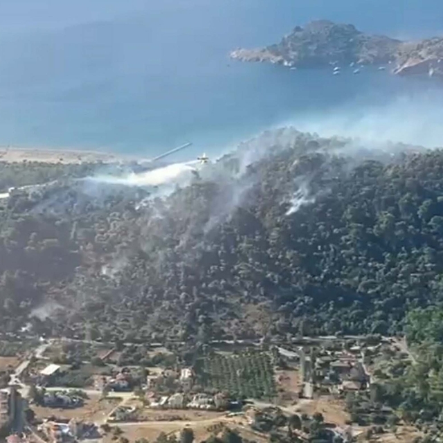 Muğla'da orman yangını