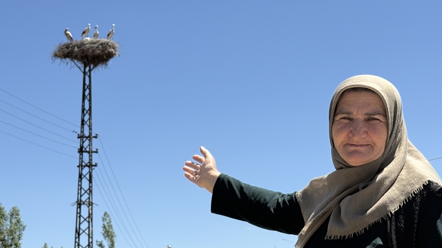 20 yıldır aileye 'yarenlik' ediyorlar