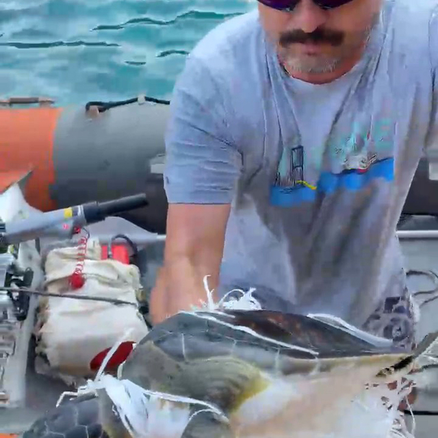 Çuvala dolanan caretta carettayı kurtardı