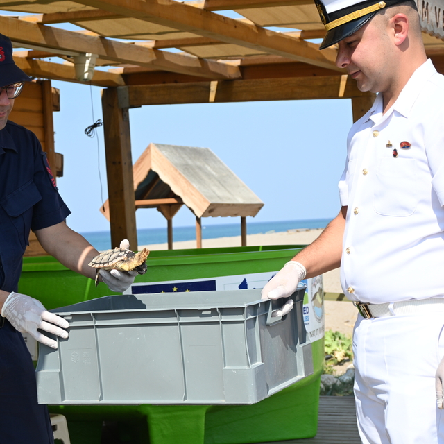 Antalya'da çuvala dolanan caretta caretta yavrusunun tedavisi tamamlandı