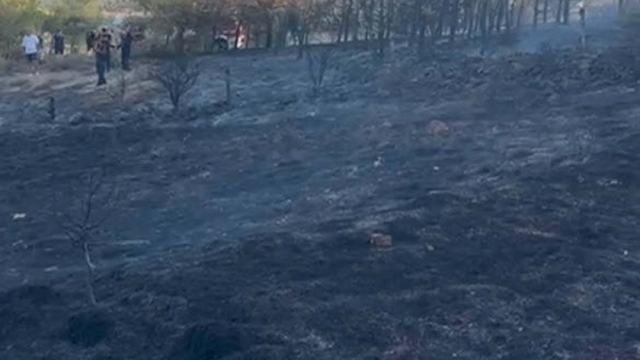 Balıkesir'deki orman yangını 1 saatte kontrol altına alındı