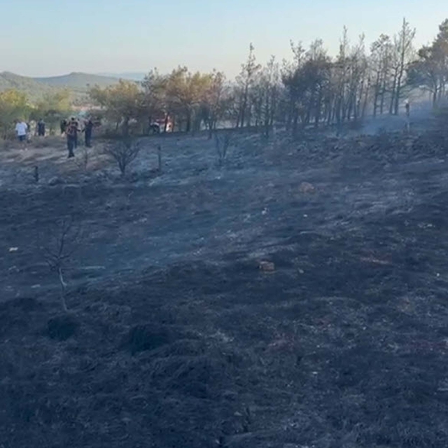 Balıkesir'deki orman yangını 1 saatte kontrol altına alındı