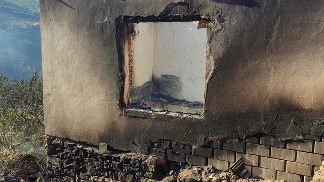 Manisa'da çıkan orman yangını kontrol altına alındı