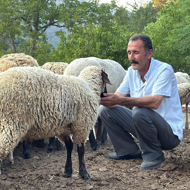 Bartın'da çiftçi, koyunlarını kurt saldırısından dronla korudu