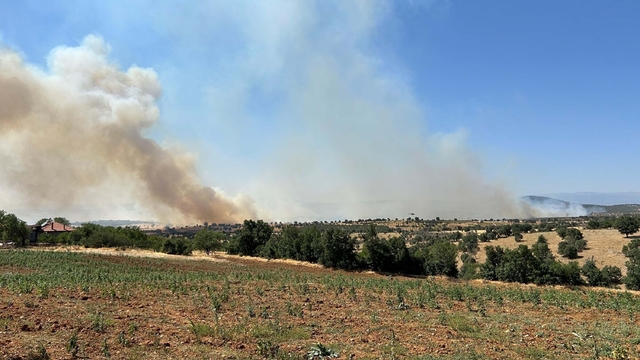Uşak'ta meşelik yangını 16 saat sonra kontrol altında