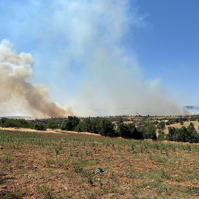 Uşak'ta meşelik yangını 16 saat sonra kontrol altında