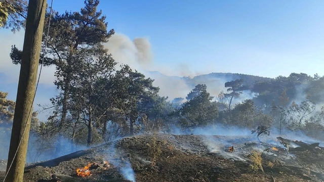 Akhisar'daki orman yangını, 18 saatte kontrol altına alındı