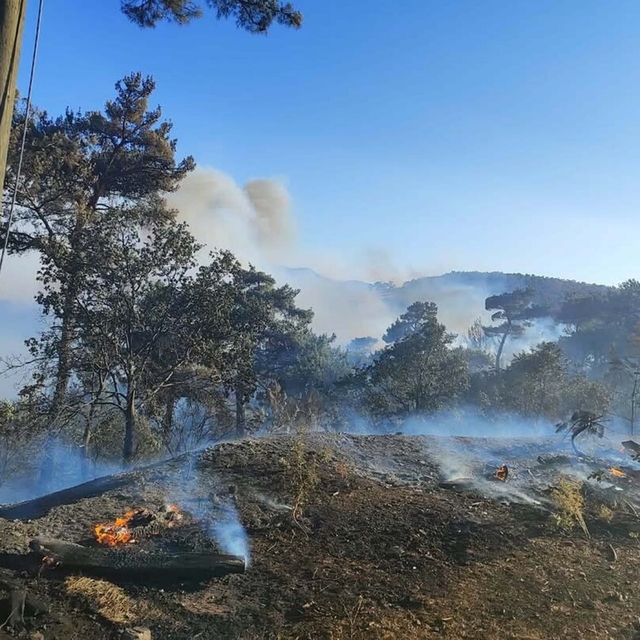 Akhisar'daki orman yangını, 18 saatte kontrol altına alındı