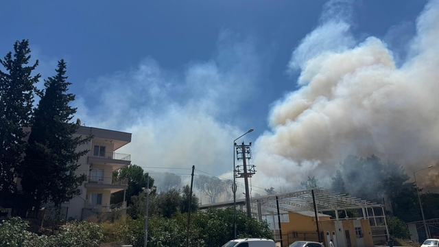 Antalya'nın Aksu ilçesinde çıkan yangına müdahale ediliyor