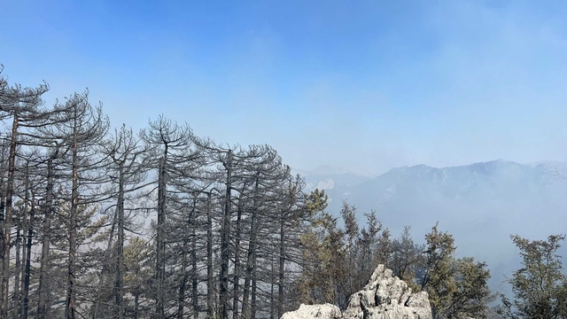 Antalya'da 2 orman yangını sürüyor; 1'i kontrol altında (2)