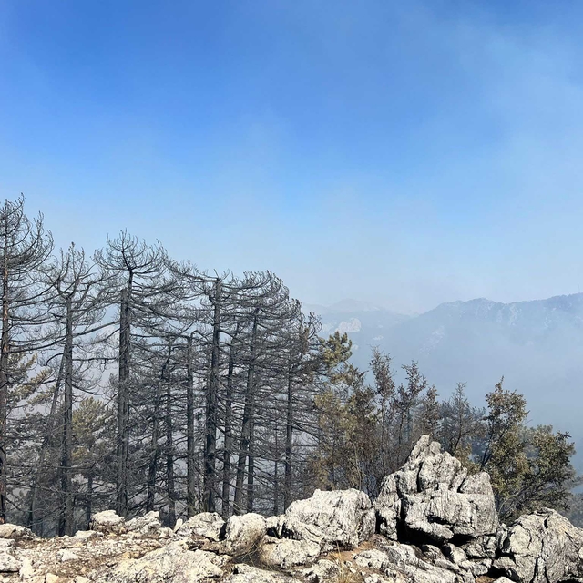 Antalya'da 2 orman yangını sürüyor; 1'i kontrol altında (2)