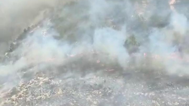 Silifke'de orman yangını (2)