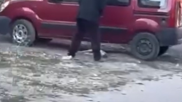 Sivas'ta yavru köpeğe sopayla şiddete para cezası