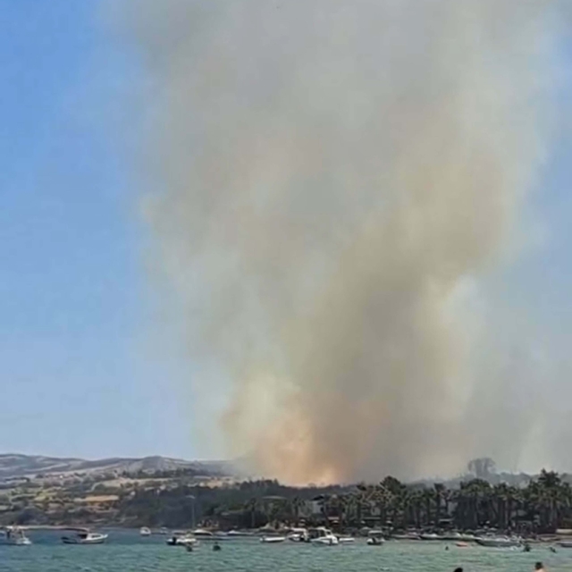 Çanakkale'de tarım arazisinde yangın