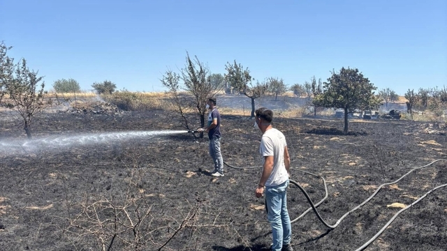 Gelibolu'da tarım arazisinde çıkan yangın kontrol altına alındı