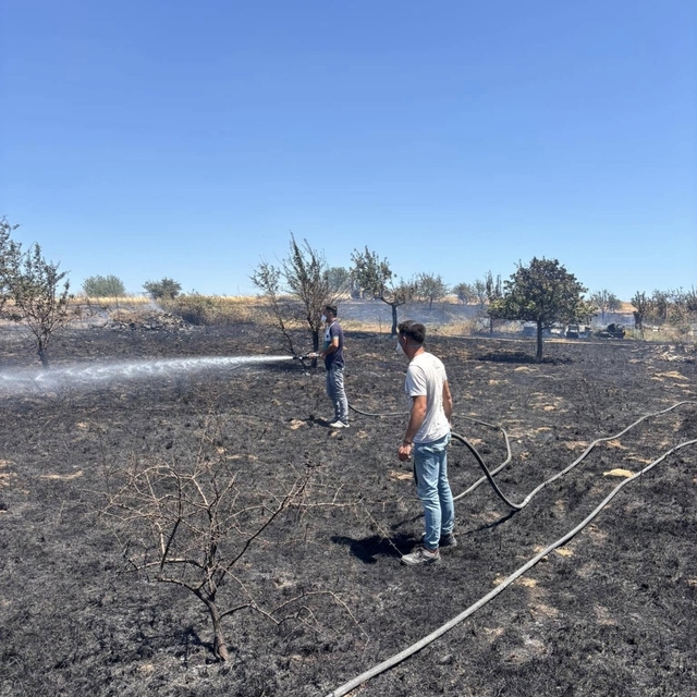 Gelibolu'da tarım arazisinde çıkan yangın kontrol altına alındı