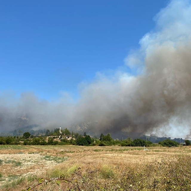 Antalya'nın Serik ilçesinde çıkan yangına müdahale ediliyor