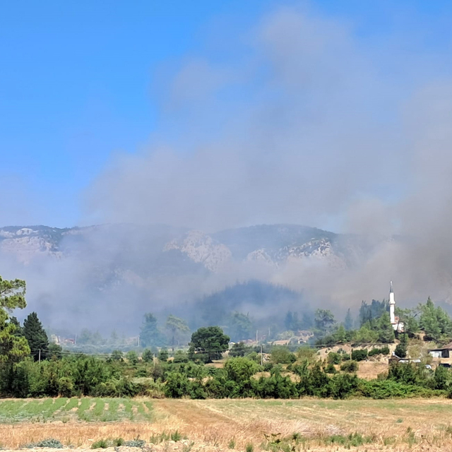 Antalya'da 2 orman yangını sürüyor; 2'si kontrol altında (4)