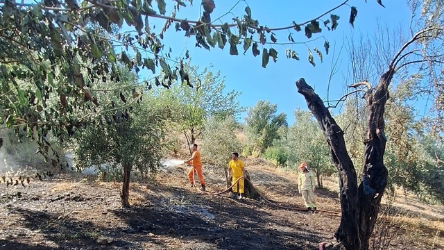 Kumluca'da tarım arazisinde çıkan yangın söndürüldü