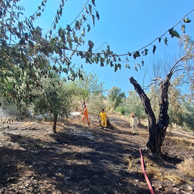 Kumluca'da tarım arazisinde çıkan yangın söndürüldü
