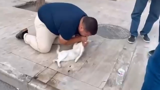 Kediyi, suni teneffüs ve kalp mesajı ile kurtarmaya çalıştı
