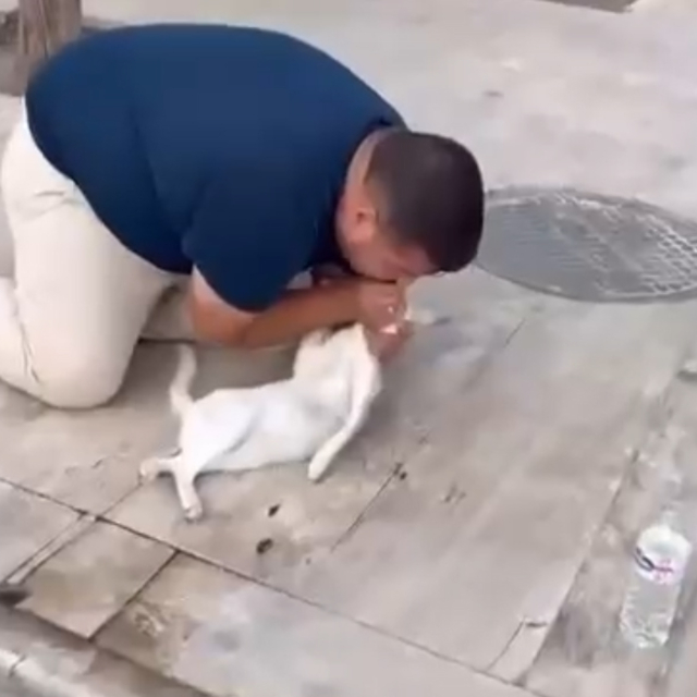 Kediyi, suni teneffüs ve kalp mesajı ile kurtarmaya çalıştı