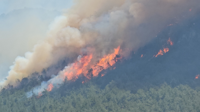 Karabük'teki orman yangınlarında 4'üncü gün (2)