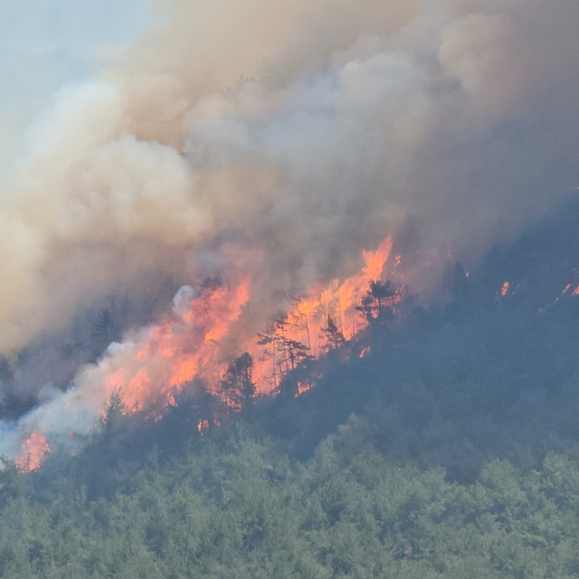 Karabük'teki orman yangınlarında 4'üncü gün (2)