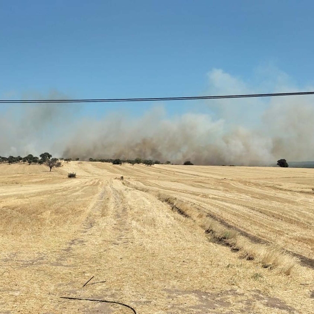 Çanakkale'de tarım arazisinde yangın