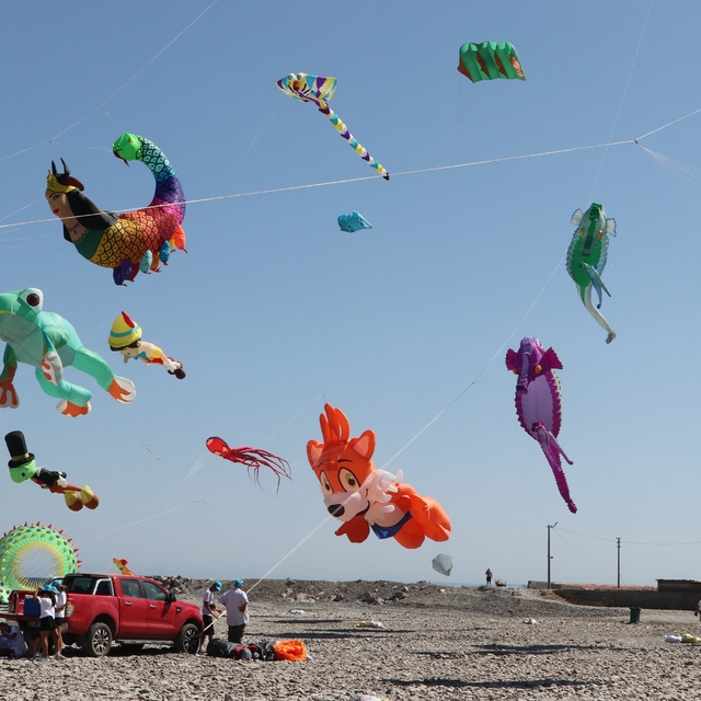 Tekirdağ'da "3. Trakya Uçurtma Festivali" başladı