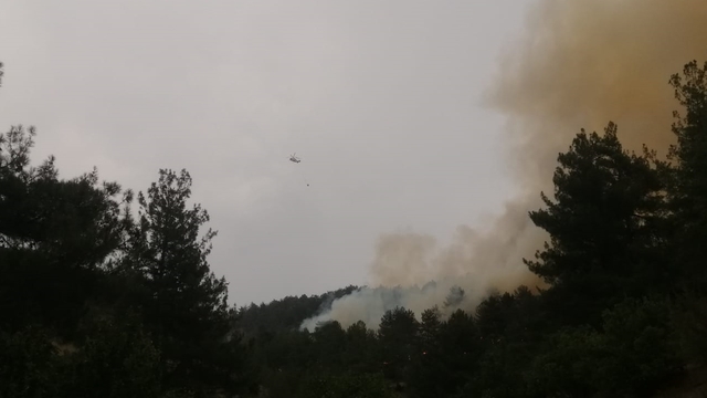 Kahramanmaraş'ın Onikişubat ilçesinde orman yangını çıktı
