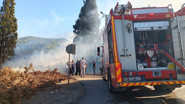 Kocaeli'de ormanlık alanda çıkan yangına müdahale ediliyor