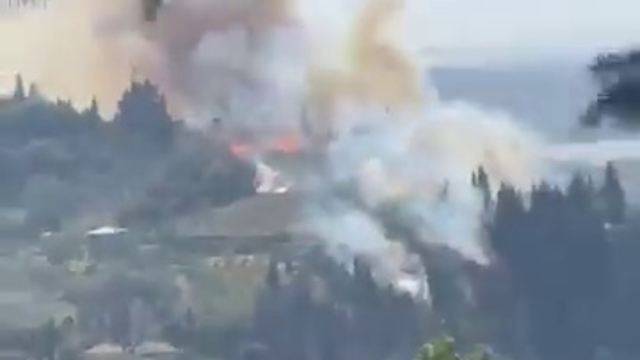 Kocaeli'de orman yangını