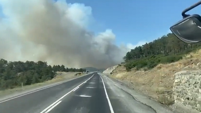 Bursa'da orman yangını (2)